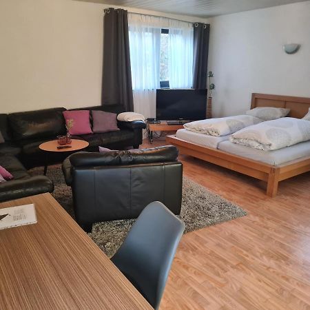 Apartment Zum Wohlfuehlen In Ruhiger Lage Pfungstadt Exteriör bild