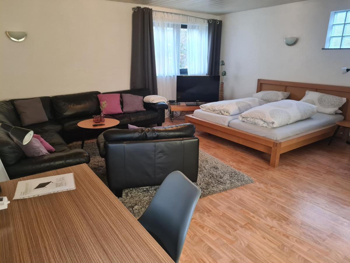 Apartment Zum Wohlfuehlen In Ruhiger Lage Pfungstadt Exteriör bild
